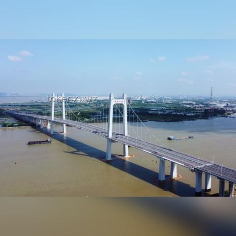 东莞高架路车道变更趋势与安全提升预测